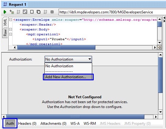 Configuración de seguridad a nivel de requerimiento